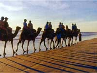Camel_Trek_on_Cable_Beach_Broome.jpg